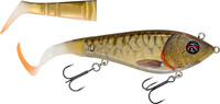 Copper Carp