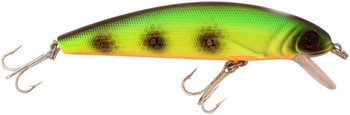 Wobler Abu Garcia Tormentor