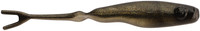 Emerald Shiner