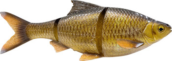 Guma Savage Gear 3D Line True Roach