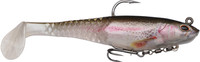 Rainbow Trout