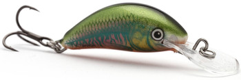 Wobler Salmo Hornet F