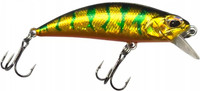 Gold Perch