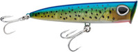 Mahi Mahi
