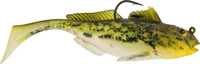Headlight Goby