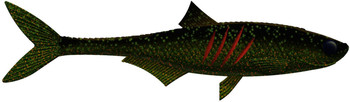 Przynęta gumowa Libra Dead Fish