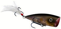 Clearwater Minnow