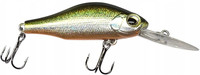 Tench