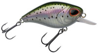Rainbow Trout
