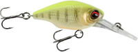Fluor Yellow Tiger