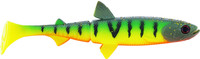 Tiger Perch