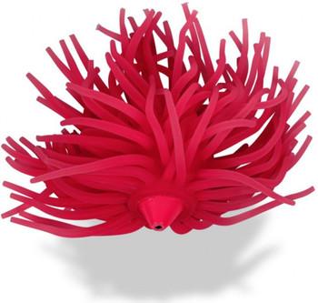 Teaser sumowy Black Cat Real Worm