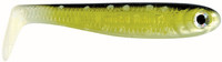 Tench