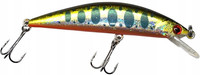 River Trout
