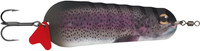 Rainbow Trout