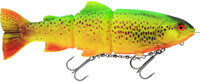 Firetiger Trout