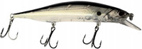 Silver Bleak