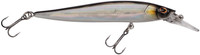 Baitfish