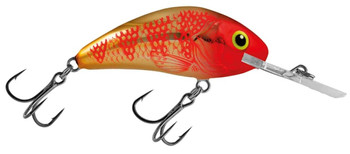Wobler Salmo Rattlin Hornet F